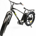 Hot Sale Merry Go Electric Bicycle for Outdoor and Sports